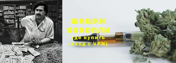 шишки Алзамай