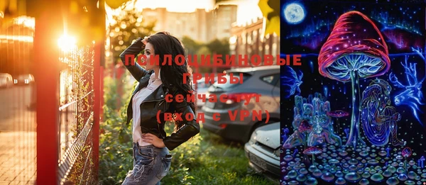 шишки Алзамай