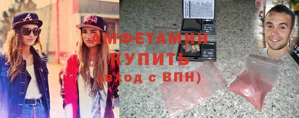 шишки Алзамай