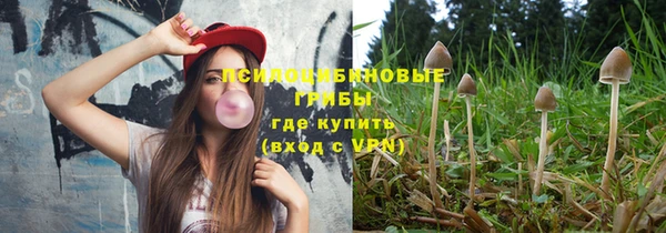 шишки Алзамай
