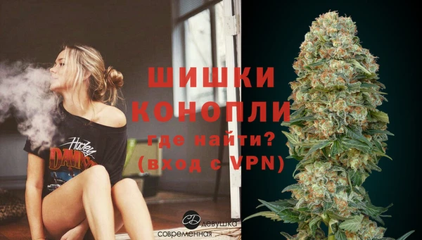шишки Алзамай