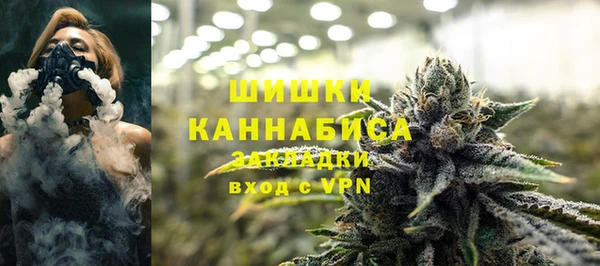 шишки Алзамай