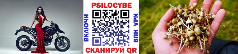 Псилоцибиновые грибы MAGIC MUSHROOMS Лениногорск